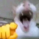 point_and_laugh
