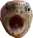 vedalPog2 vedalPog2