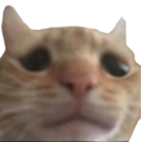 Meowlancholy Meowlancholy