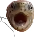 soydalPoint