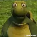 what what