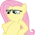dns_fluttershystares