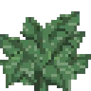 JungleFern