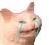 cat_cry