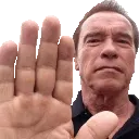 arnoldHalt
