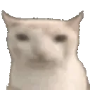 catEat