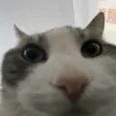 umm