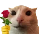 Cat Rose Discord Emoji