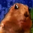thatdu56Gopher thatdu56Gopher