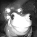 froggee
