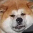 oog