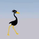 birg birg