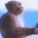 MusicMonke