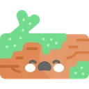musgo