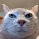 soulstare