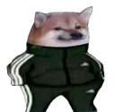 hmm