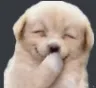 z_mbg_navvu