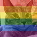 Catgay Discord Emoji