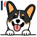 corgistall