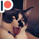 Walter