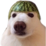 perromelon Discord emoji