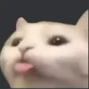 CatBleb Discord Emoji