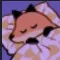 sleepfoxy