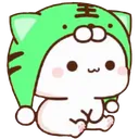 z_mbg_dyno