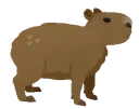 capybara