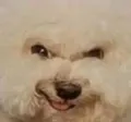 Heheheh