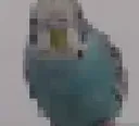 badisko