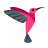 hummingbird