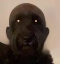 DogSCP106_ParadoxPaws Discord emoji