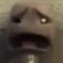disgust
