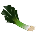 leek