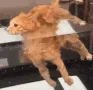 catberg catberg
