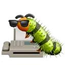 coolbugfacts