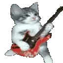 CatGuitar