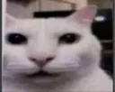 cuando
