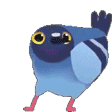 DancingPidgeon