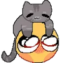 CuteCat