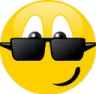 6msp_sunglasses