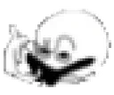 ayo