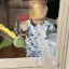 waterattack