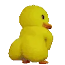 duckass