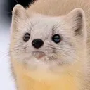 WWWWWWWWWWWWWWWWWWWWWWWWWWWWWWWW