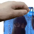 bob