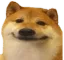 Fingu_bruh