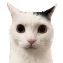 Stare Discord sticker | 🛕𝗭𝗼𝗱𝗶𝗮𝗻 𝗘𝗺𝗽𝗶𝗿𝗲🛕