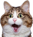 ShockedCat custom emote - 🛕𝗭𝗼𝗱𝗶𝗮𝗻 𝗘𝗺𝗽𝗶𝗿𝗲🛕